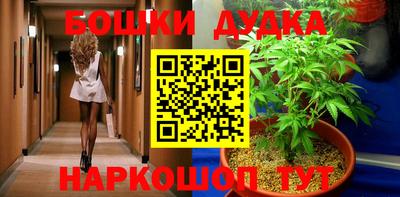ECSTASY Новозыбков